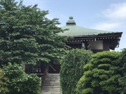 新緑の境内