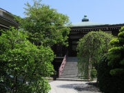 新緑の息吹