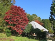 里山の秋